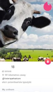 etsitään lypsäjää