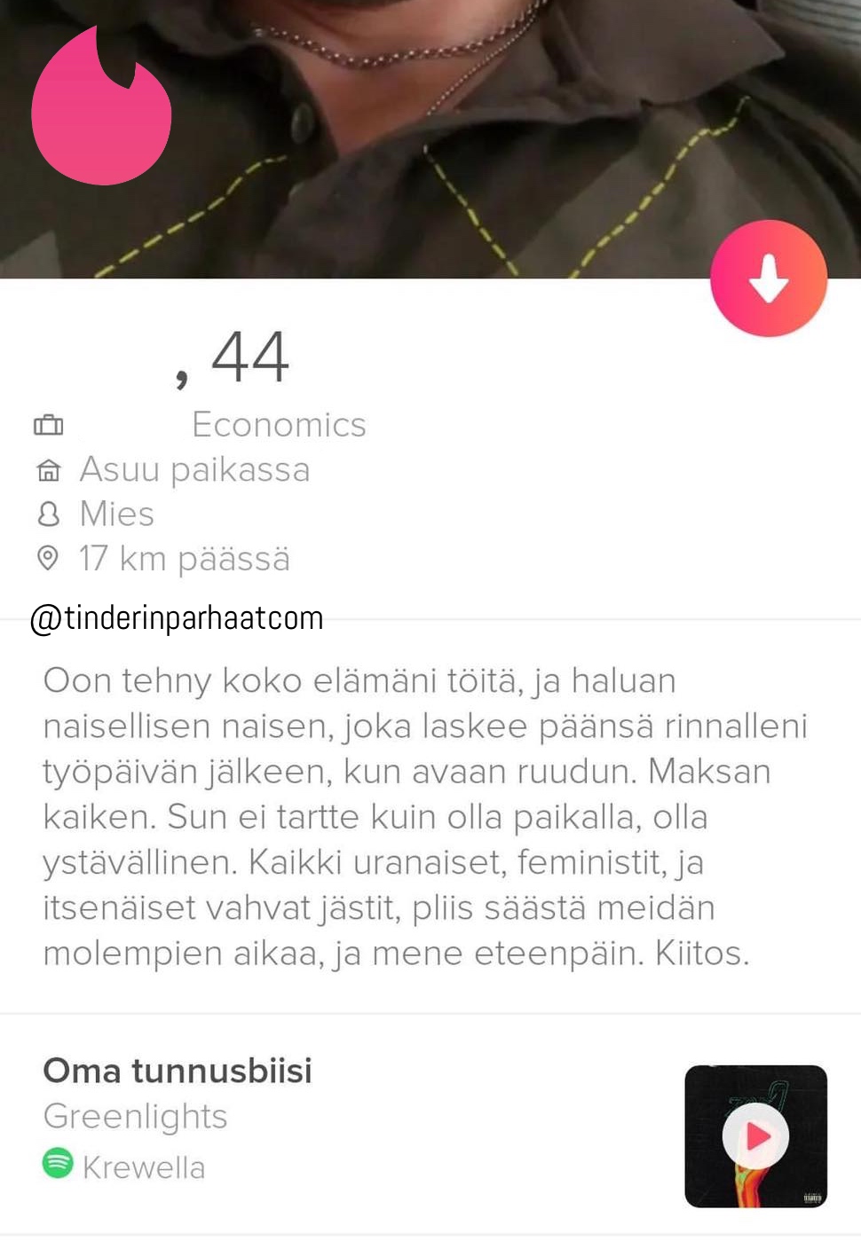 naisellinenTINDERprofiilit