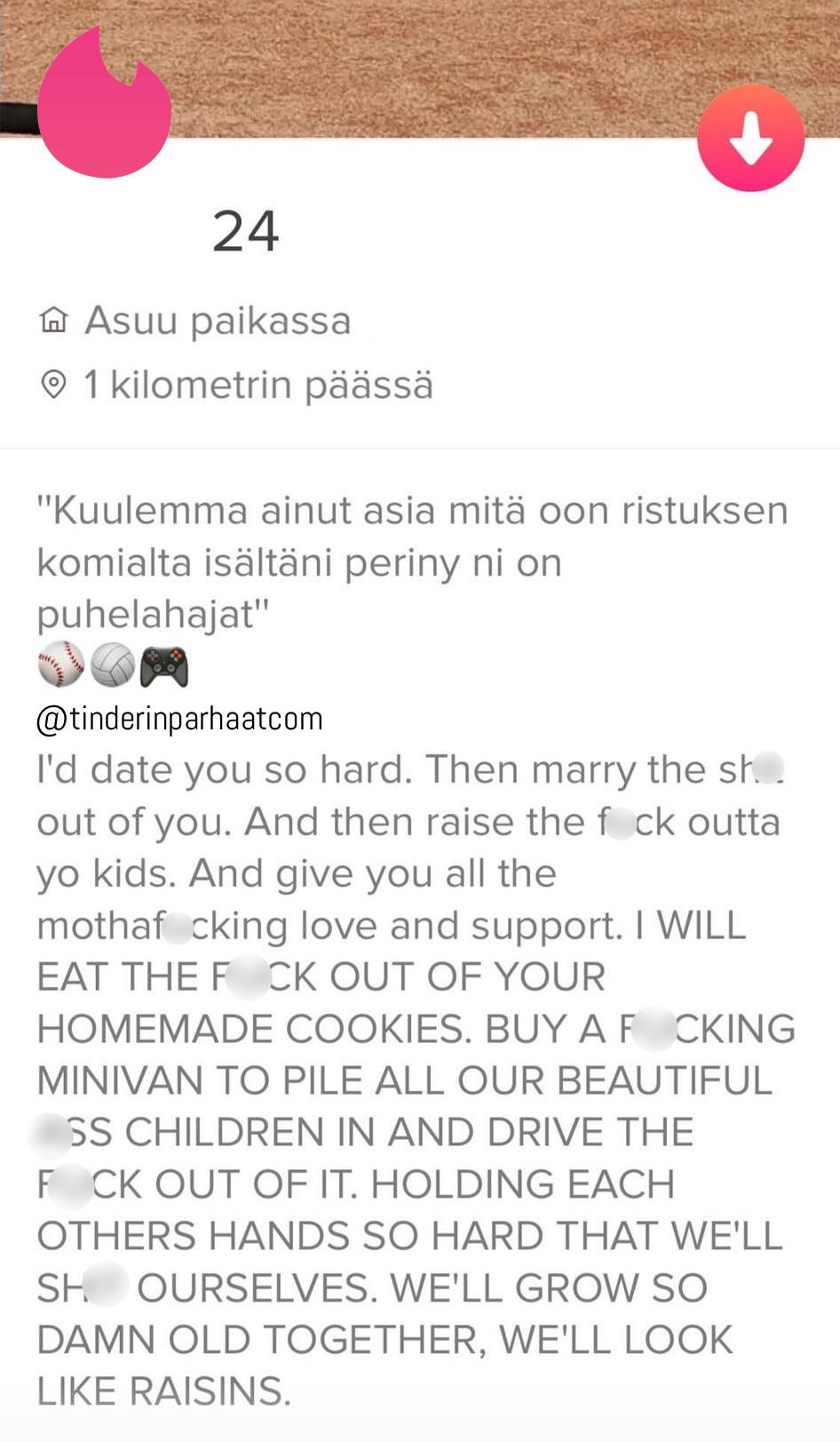 raisinsTINDERprofiilit
