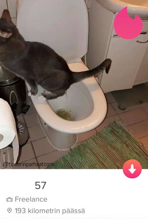 kissaTINDERprofiilit