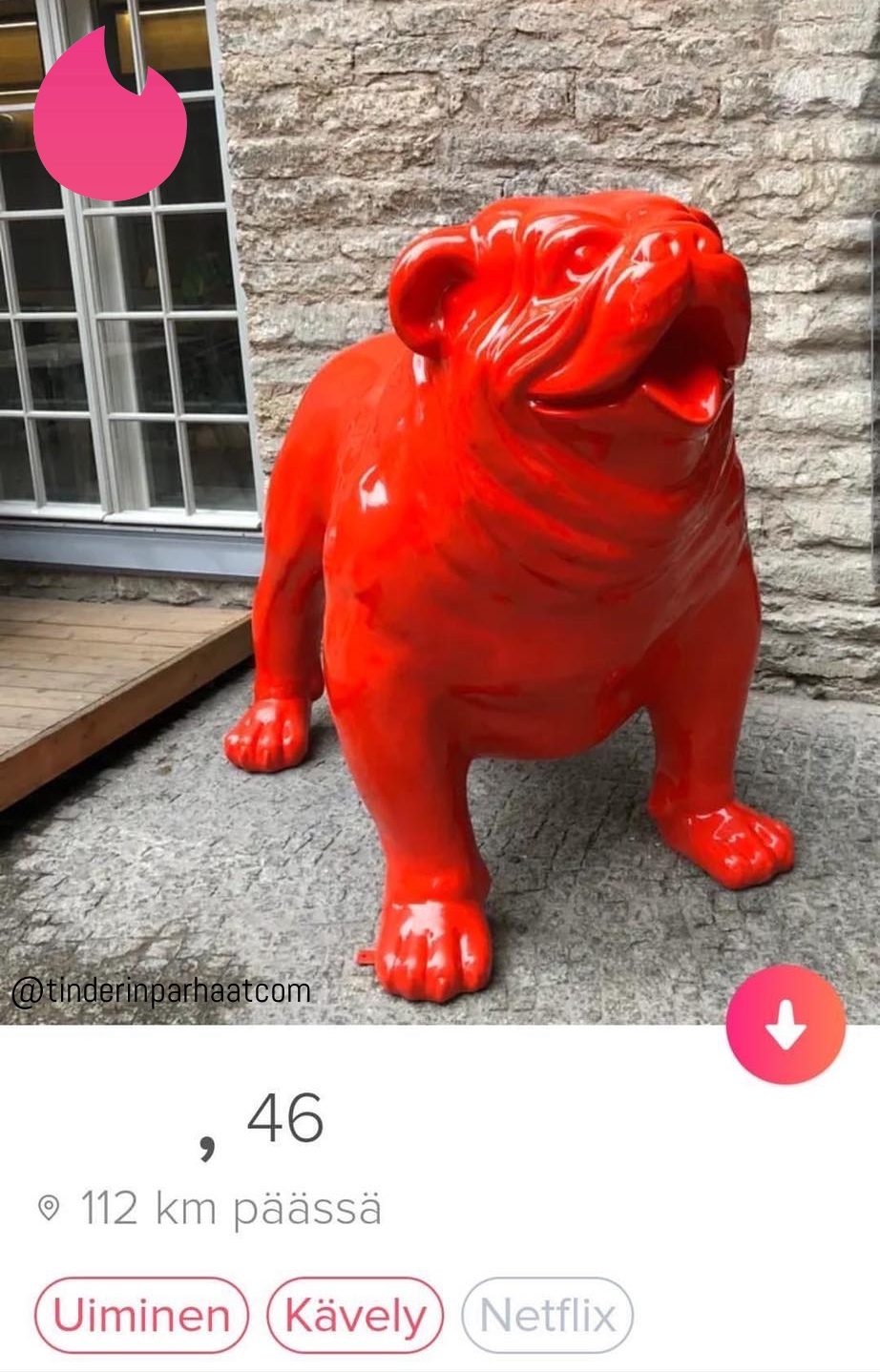bullTINDERprofiilit