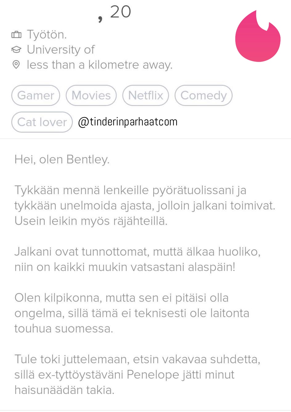 kilpikonnaTINDERprofiilit16