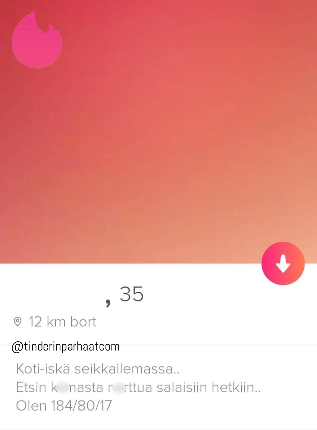 kotiiskäTINDERprofiilit20