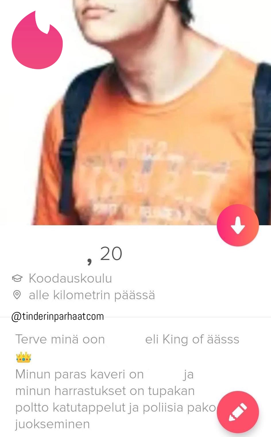 poliisiapakoonTINDERprofiilit5