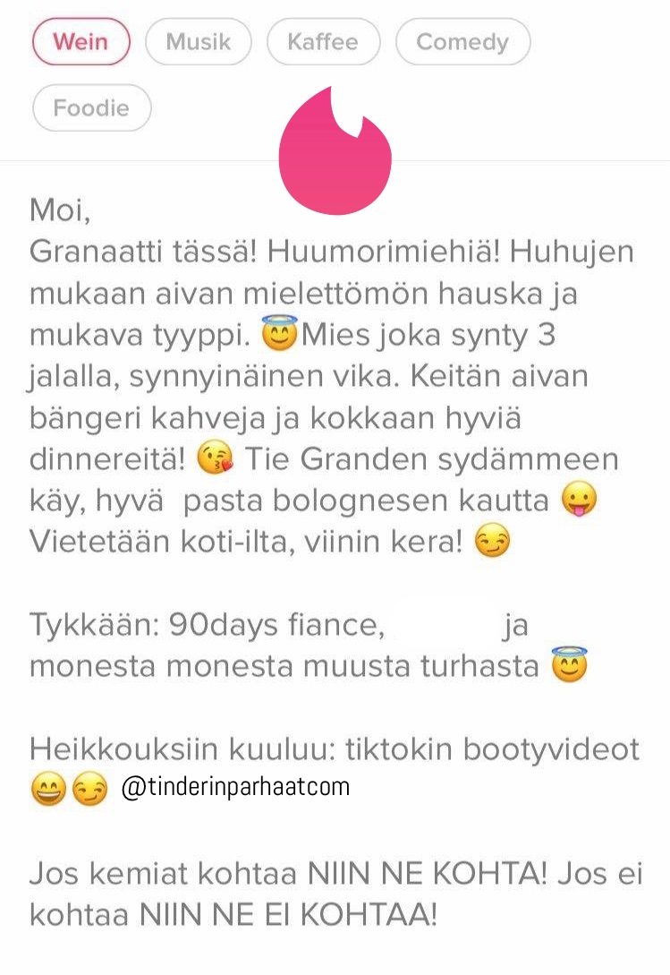 90daysTINDERprofiilit27