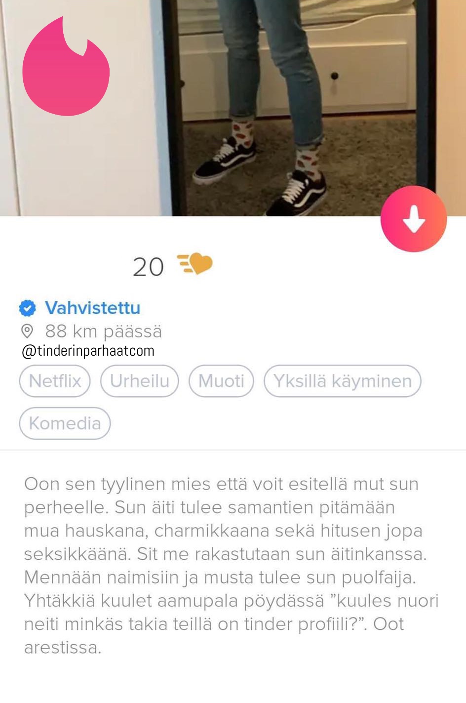 arestisssaTINDERprofiilit1602