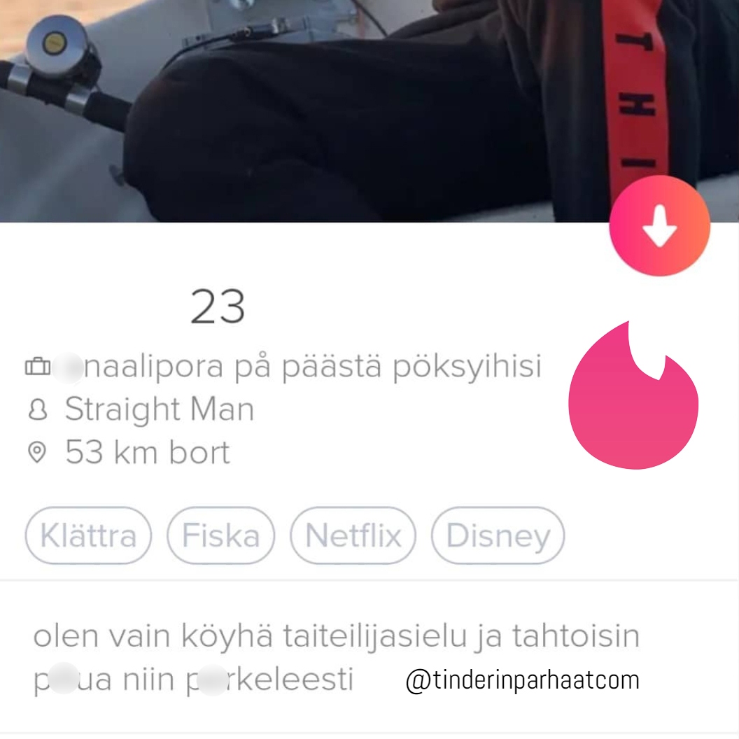 taiteilijasieluTINDERprofiili1504