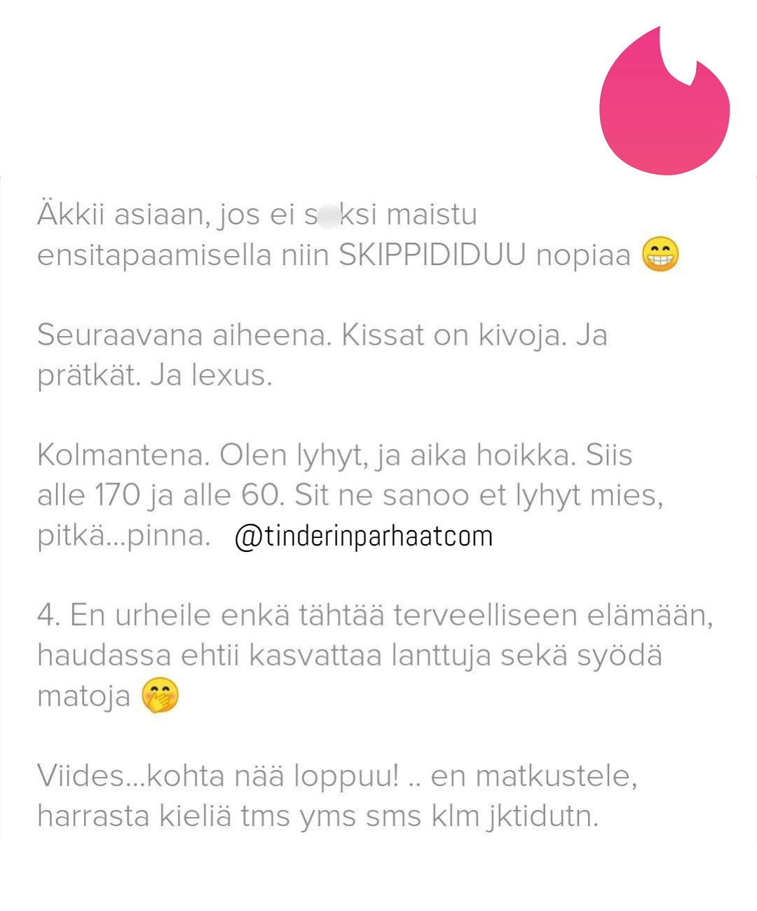 skippididuuTINDERprofiilit3103