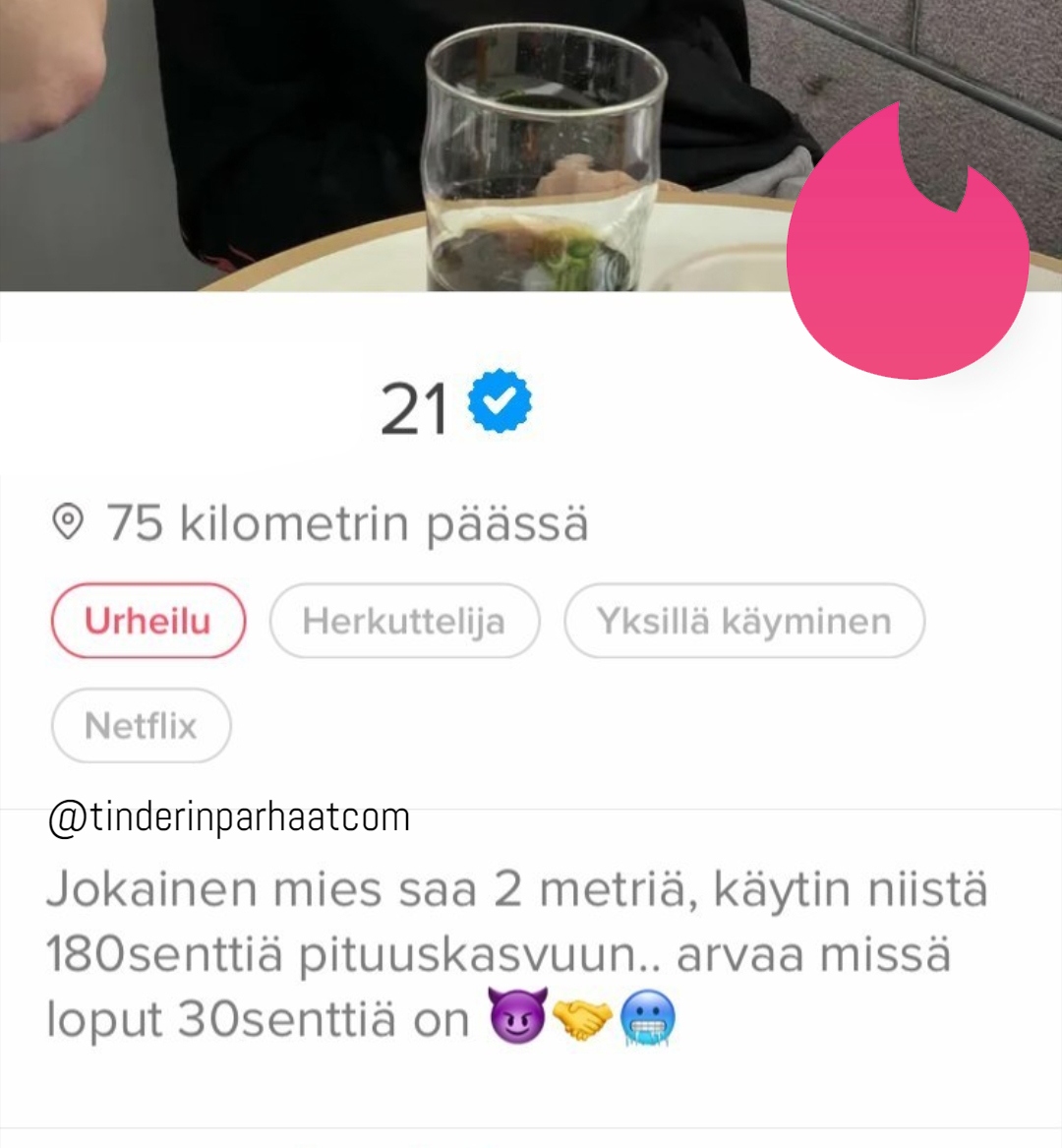 minnehävisisentitTINDERprofiili0907