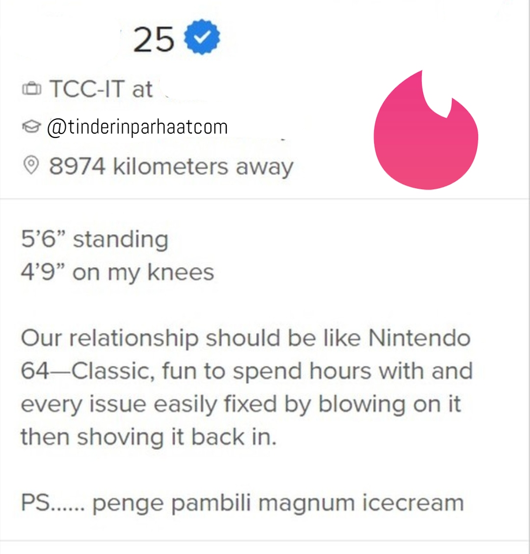 nintendoTINDERprofiili2807