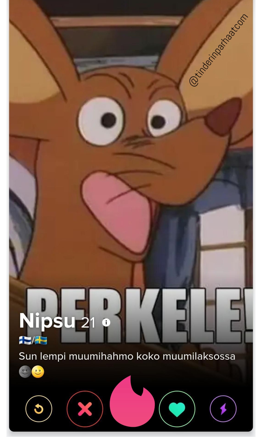 nipsuTINDERprofiili1008