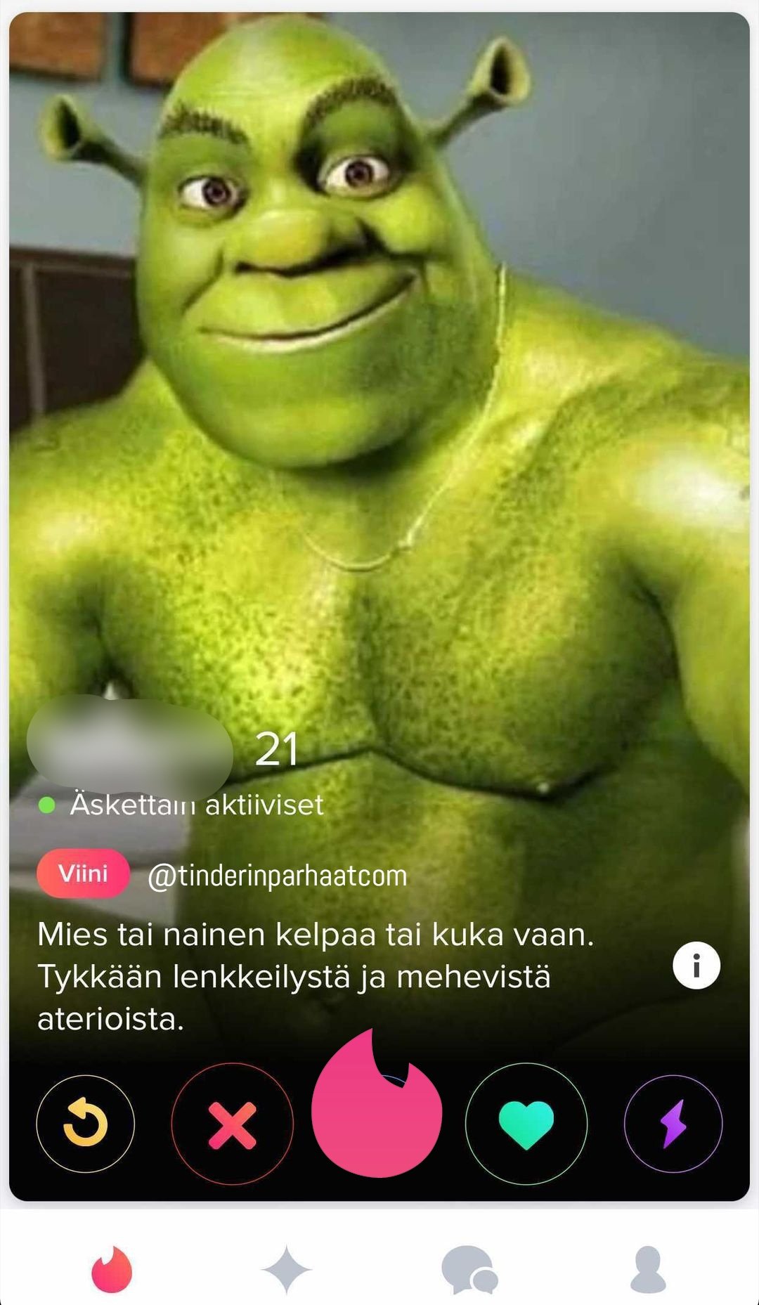 shrekkiTINDERprofiili0408