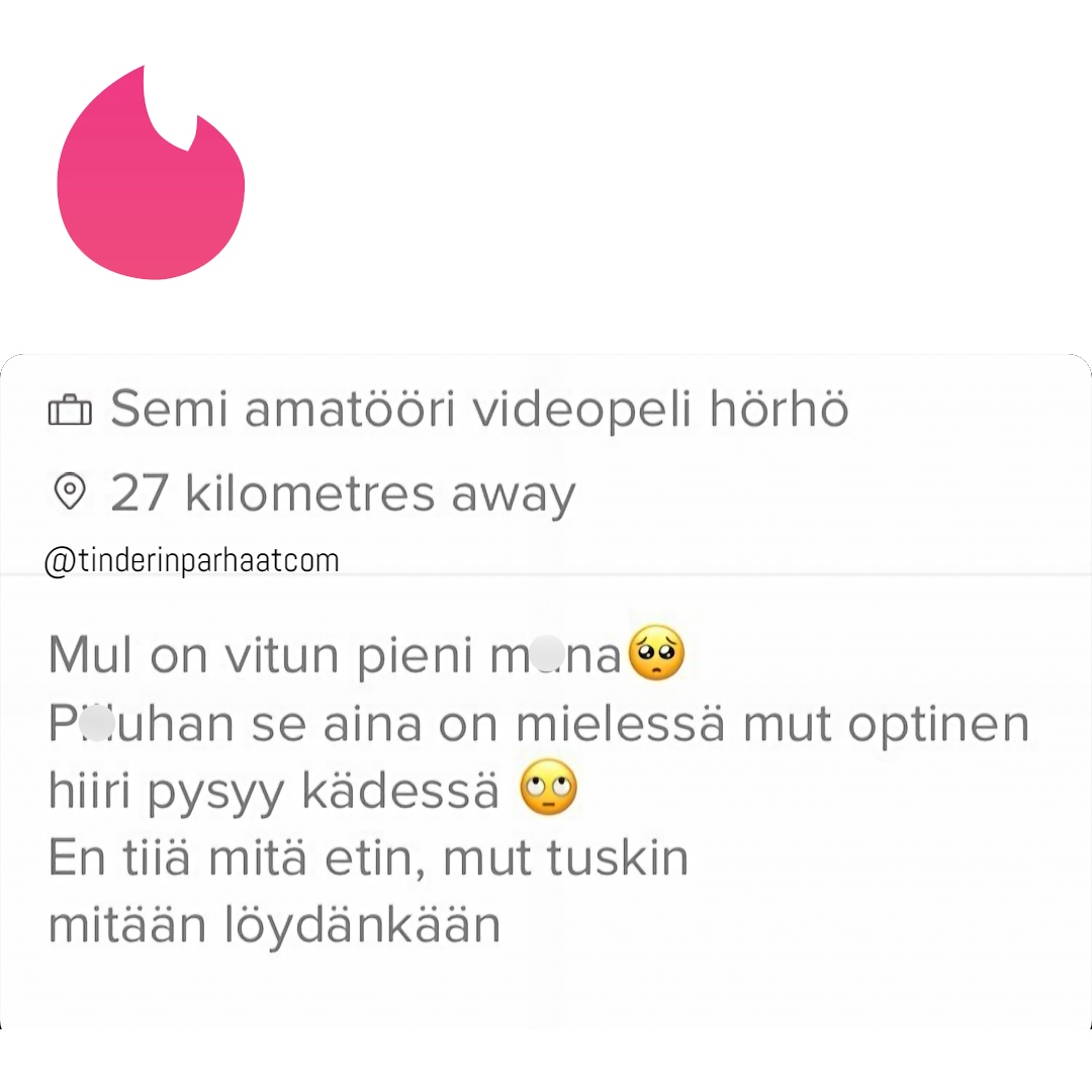 ainamielessäTINDERprofiili1708 (1)