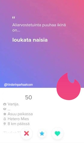 loukkaanaistaTINDERprofiili0109