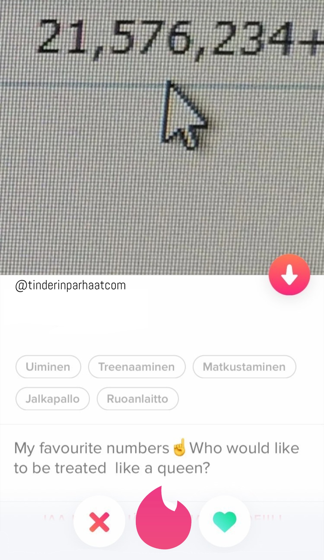 mitälukujaTINDERprofiili0308¨