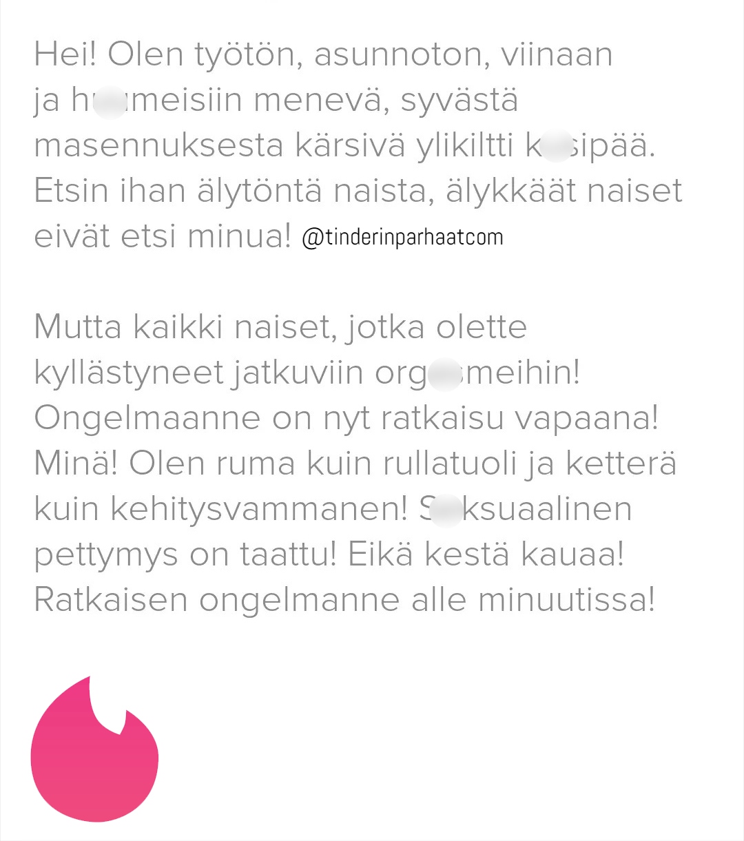 ongelmanratkaisuTINDERprofiili2408