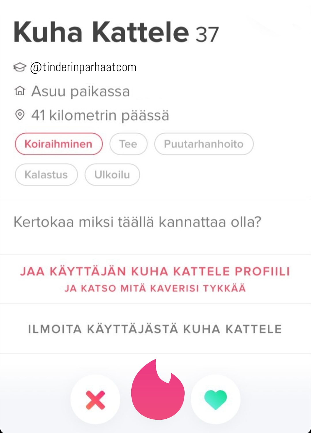 kuhakatteleTINDERprofiili2408