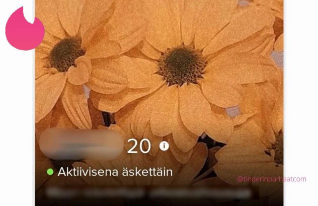 pitsihousutTINDERprofiil_uuspoh1_cropped