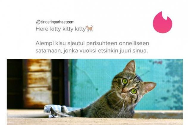 Kitty